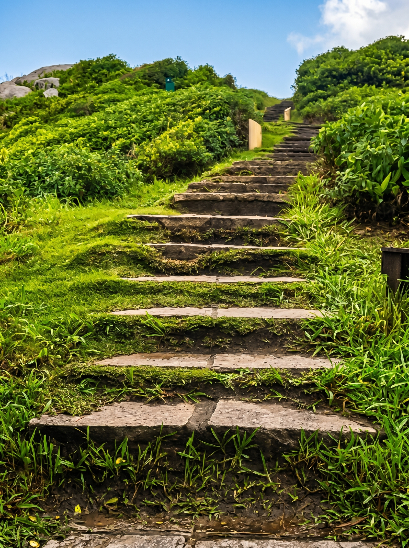 hf_20260518_204608_8f0877be-d0ce-4081-8f00-837090b54469.png